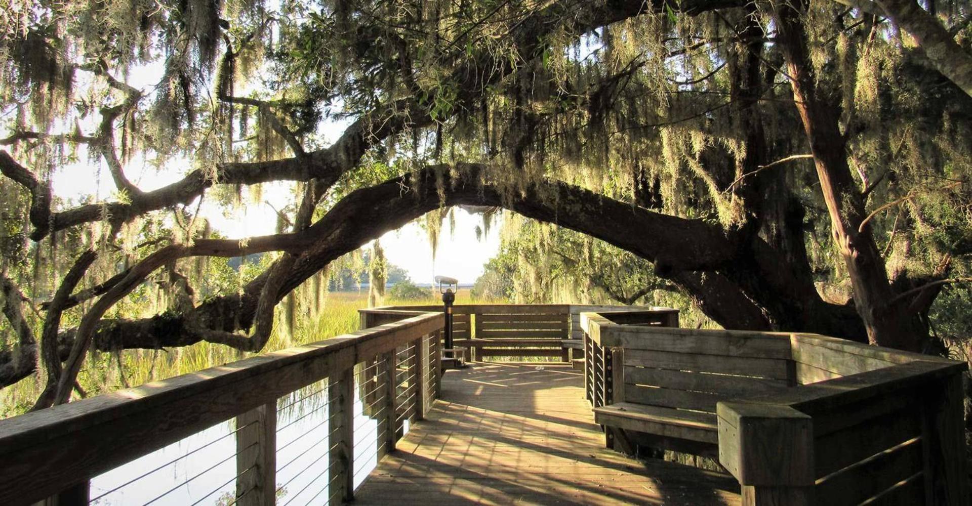6 Junket Βίλα Hilton Head Island Εξωτερικό φωτογραφία